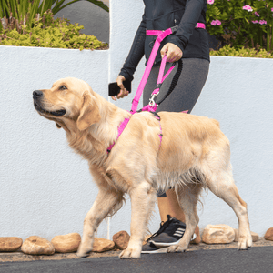 Open image in slideshow, Rogz Handsfree Lead
